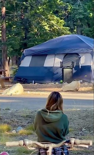 The Little Bear Knew Exactly Where To Go 😂