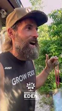 Hidden Food Forest in Sarasota-- 100+ Varieties!