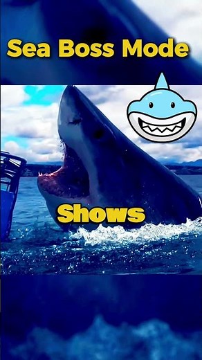 Great White Shark Jumps Out of Water 🦈