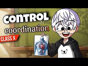 Control and Coordination Class 10 ( Animation ) in One Shot | Class 10 Control and Coordination