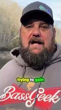 3 and 3 for Bass In Cover