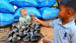 508K views · 20K reactions | Monkey SokYaa Help Little Boy Cook A Lot Snails And Eat Delicious, Snails Recipe | Amazing TV | Facebook