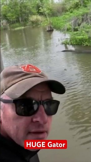 Travel Documentary- HUGE Gator New Orleans Swamps #alligator #louisiana ‪@TheDAIExperience‬