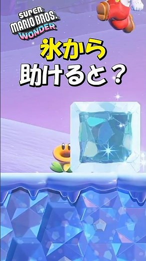 おしゃべりフラワーに5回連続攻撃をすると？ #スーパーマリオワンダー #マリオワンダー #マリオ #おしゃべりフラワー #ゲーム実況 #小ネタ #攻略 #おもしろ動画 #switch2