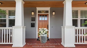 PROVEN WINNERS 13 in. Fairytrail Bride Hydrangea Shrub with White Flowers 18358
