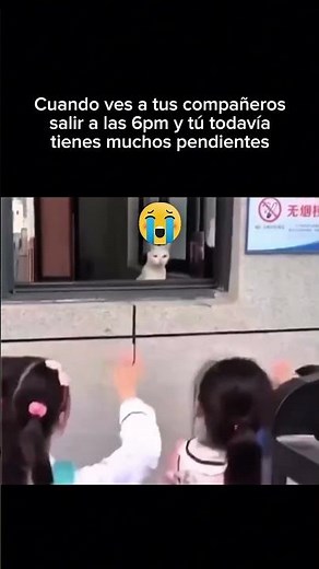 Escribe "Guia" 💬 y descubre 10 trabajos que puedes hacer sin experiencia