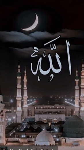 Tap on a clip to paste it in the text box.