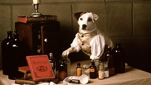 Prepare Your Nostalgic Hearts for a WISHBONE Movie