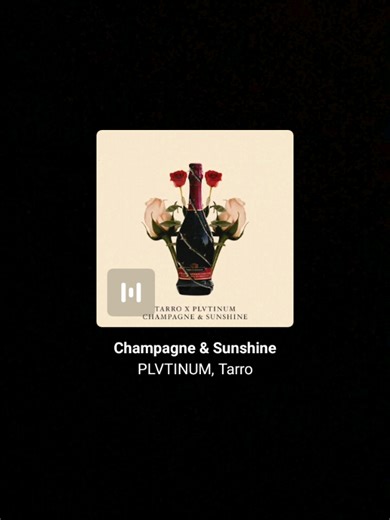 #plvtinum #champagneandsunshine #song #lyrics #foryou