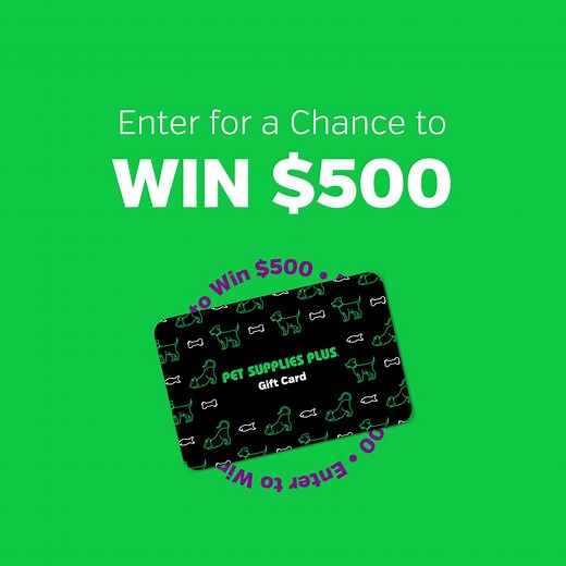 Earthborn & Greenies & Petmate, oh my! The choices are endless. Enter for a chance to win $500 to spend on anything and everything at Pet Supplies Plus. | Pet Supplies Plus