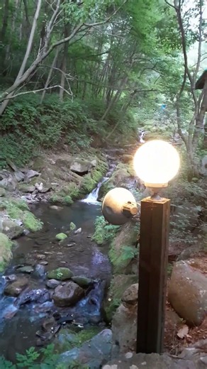 강원도정선계곡펜션 찾는다면 정선 도원펜션&캠핑장 #정선계곡펜션 #정선펜션 #waterfall
