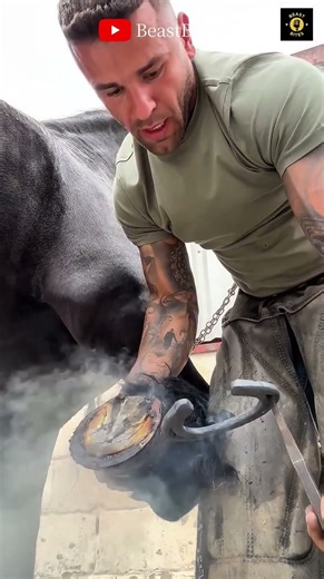 Owner Helps Horse Walk Again❤️😀