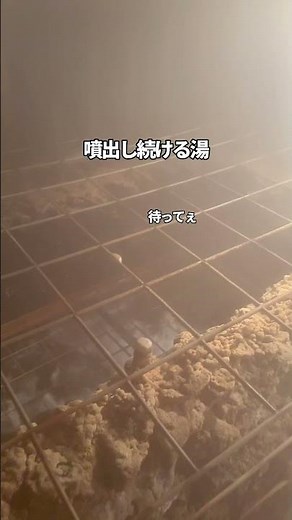 【熱海観光/穴場】古ミニトンネルと温泉あって千と千尋完結してた
