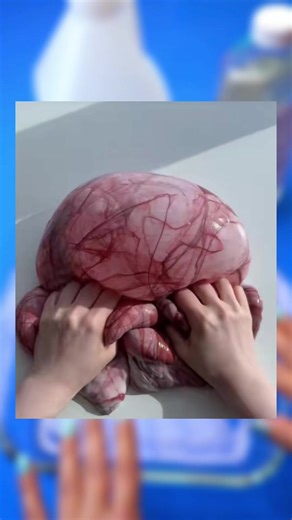 Cómo hacer slime de órgano paso a paso