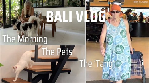 Slow Bali travel day with family and local pets
