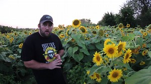 38 reactions · 5 comments | Dove season opens tomorrow in Kansas... Get those Carlson's Choke Tubes locked and loaded cause it's about to be on! | Flatlanders | Facebook