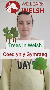 Trees in Welsh! 🌳🌲🌴 #welshlanguage #learnwelsh #dysgucymraeg #welsh #cymru #cymruambyth #wales #cymraeg | We Learn Welsh - Welsh Word of the Day