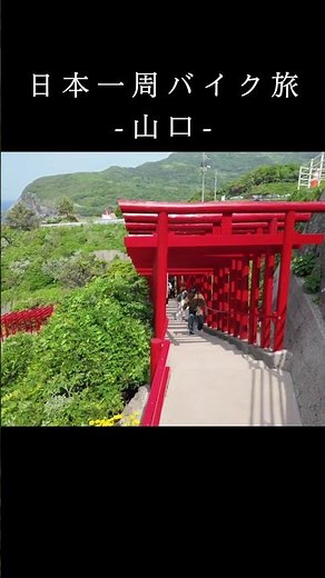 山口県北部【日本一周旅】元乃隅神社#サヌキオ旅 #バイク旅 #japantravel #ツーリング #絶景スポット #日本一周 #山口県観光 #元乃隅神社 #神社 #鳥居