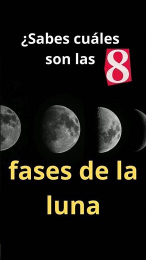 Las 8 fases de la Luna (la guía más rápida) 🌙⏱️