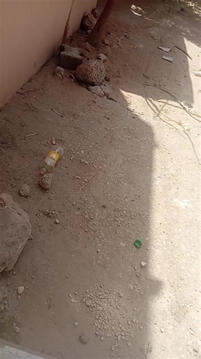 Vidéos de borom coye Bou reuy be (@sonkori02) avec son original - nekh koy