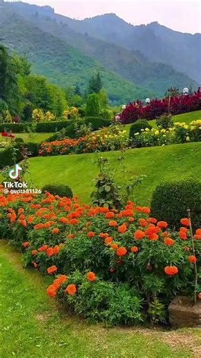 karan singh sandhu (@karansinghsandhu2)’s videos with original sound - karan singh sandhu