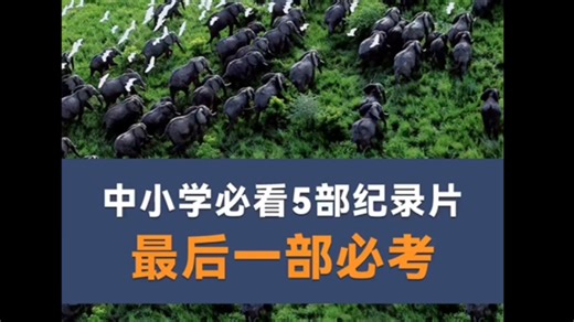 137部超高质量纪录片，包含人文，地理，自然，历史、文化等领域，每一部都值得看n遍以上。