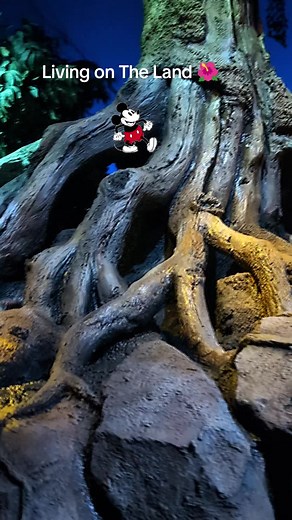 #disney #fypシ #fyp @Disney Parks