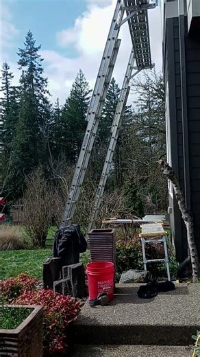 ladders scaffolding setup