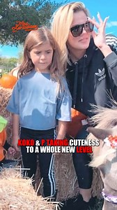 KoKo and P are melting hearts everywhere! These two adorable stars are taking cuteness to a whole new level with their playful charm and sweet bond. Whether they're cuddling or causing mischief, you can't help but smile. Get ready for an overload of joy and fluffiness! #KoKoAndP #CutenessOverload #AdorablePets #PetReel #FluffyFriends #InstaPets #TooCute #PetLove #AnimalJoy #FurryBabies | Mini Kardashians