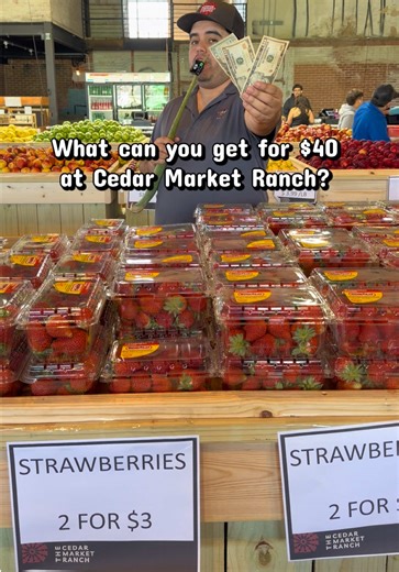 Amazing $40 Grocery Haul at Cedar Market Ranch!