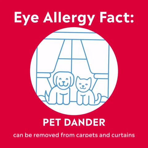 Pataday Once Daily Allergy Itch Relief Eye Drops, 2.5 ml, Olopatadine 0.2% Antihistamine Drops for Itchy Eyes, Targets Pollen, Ragweed, Grass & Pet Dander, Up to 16-Hour Relief