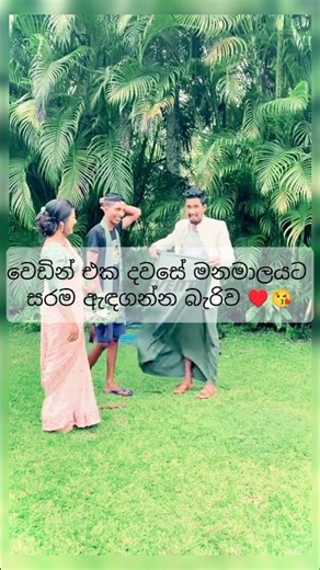 #ytshorts#wedding#love #srilanka#cuple#subscribe♥️😘