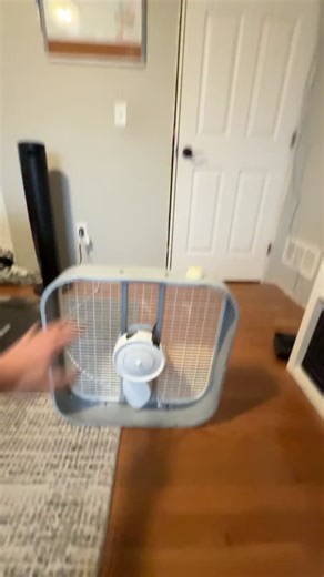 Shaking Fan on Instagram: "One remains, we need a new fan soon gng #shaking fan #popular #funny #daily #day20"