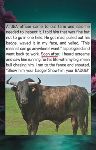 The DEA Officer vs. The Farm Bull: A Lessons in Authority