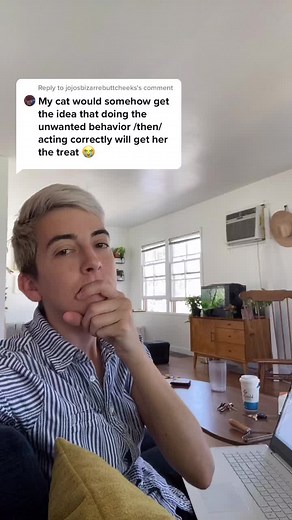 Liv on TikTok