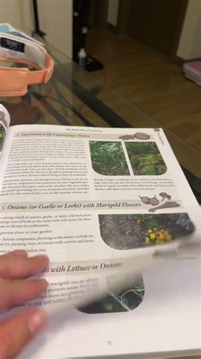 Amish Gardening 101