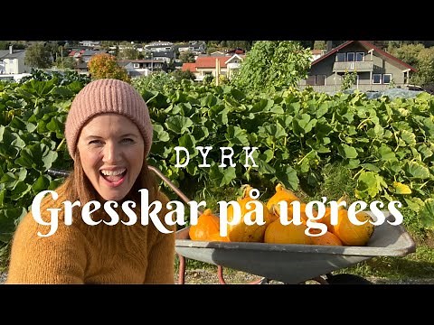 Dyrk GRESSKAR på UGRESS - slå to fluer i en smekk!