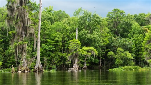 Gov. DeSantis approves purchasing 17K acres of land for conservation
