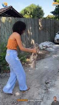 Heartbreaking Animal Rescues That Will Melt Your Heart 🐾 Part 25 ❤️