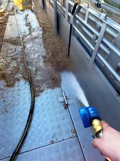 Effective Livestock Cleaning Techniques for Farms