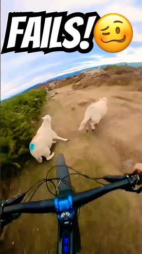 MTB & BMX Fails Caught on Camera! 😬