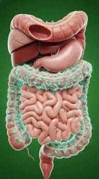 Cold Drinks Explained Benefits, Side Effects & Energy Crash | @HunterstoryYT Healt Care