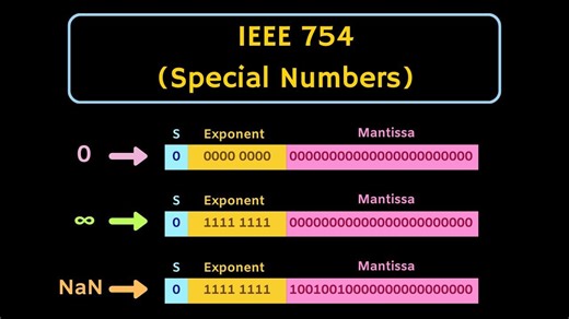 浮点数 | IEEE 浮点表示法 非规范化数和特殊数的表示