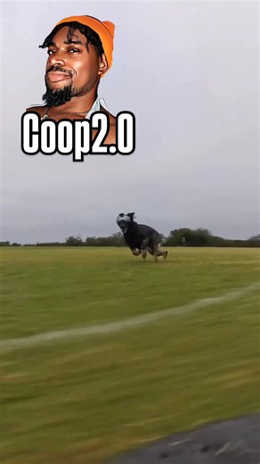 Adrian Cooper | This was intense😅🫶🏾🤠 it’s crazy how literally a year ago I did a video just like this on the same dog and it was one of my most viral hits... | Instagram