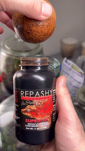 3.2M views · 7.5K reactions | Two Course Meal - Poison Dart Frogs! #fyp #reel #dartfrog #pet #animal #fypreels #fbreel #facebookreel #poisondartfrog #oddlysatisfying #bioactive #terrarium #vivarium #livingart #natureindoors #exoticpets | Alternateaquatics | Facebook