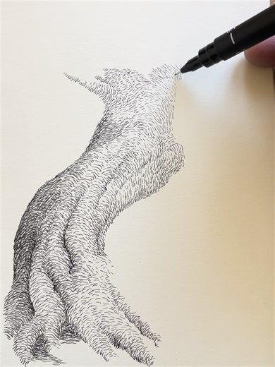 Shahobiddin Rustamov on Instagram: "In this tree trunk study, I experimented with contour shading and cross-hatching techniques. 🪵 🌳 ✍️ I love how lines create volume! Do you like this drawing? #inkonpaper #drawing #sketchbook #urbansketch #artoftheday"