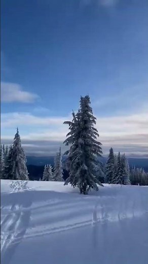 This is skiing in Sun Peaks! What more could you want?
