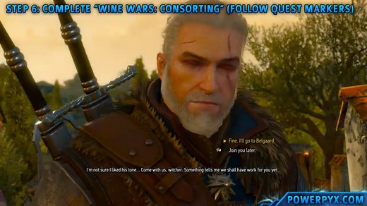 The Witcher 3: Wild Hunt - Complete Edition Achievement Guide & Road Map