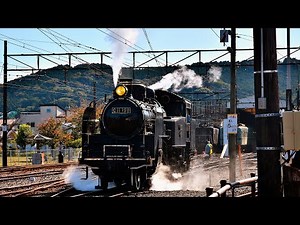 大井川鐵道SL急行C11 190総集編（門デフ＆通常デフお召仕様）JNR Class C11