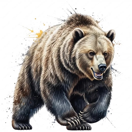 Grizzly Bear Clipart, 10 PNG Designs, Watercolor Wildlife Graphics, Instant Download, Commercial Use - Etsy